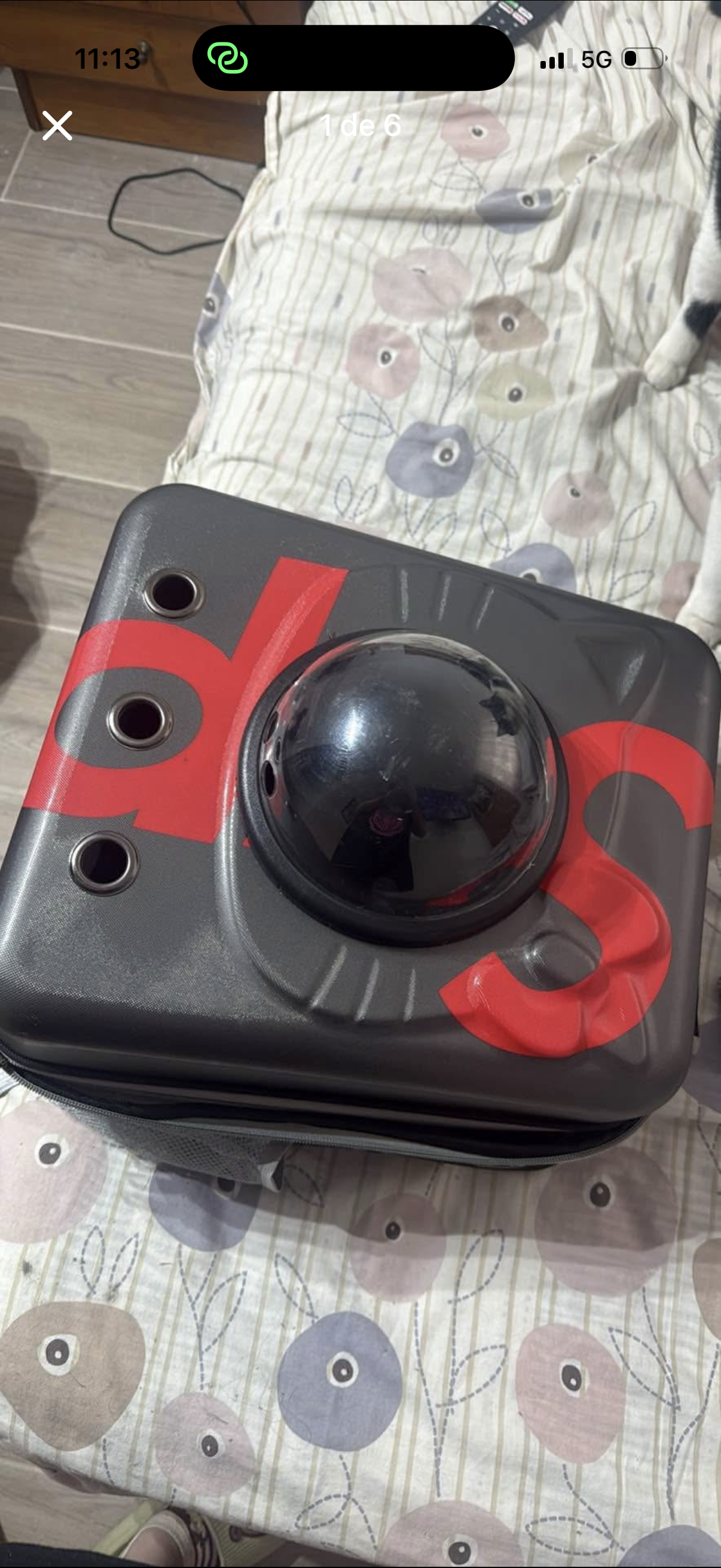 Maleta Transporte Gato