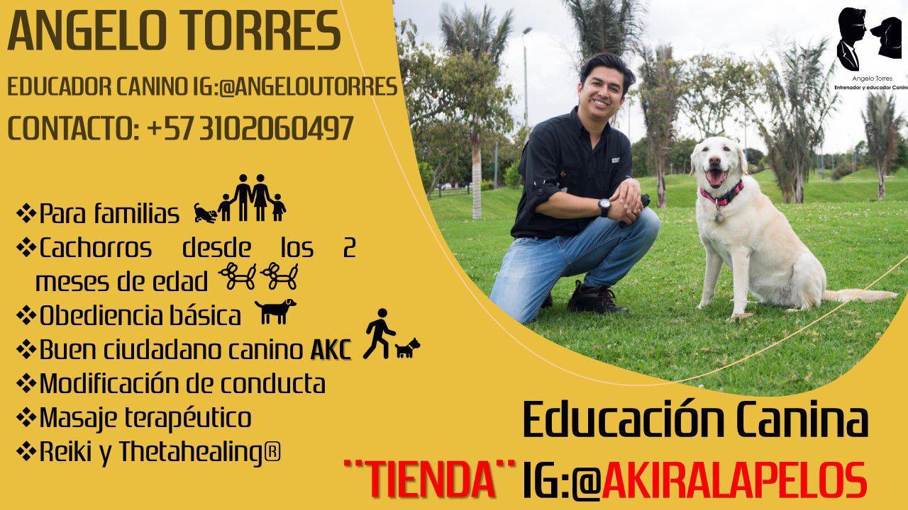 Angelo Torres - Educador Canino