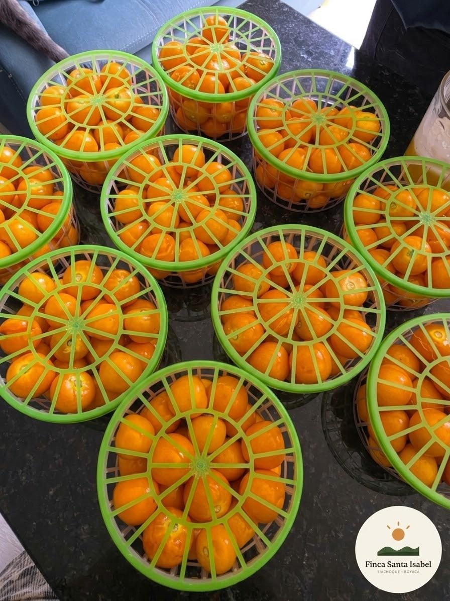 Venta Uchubas
