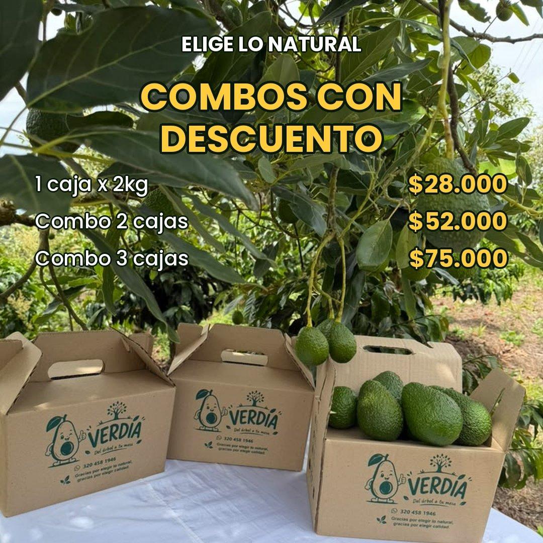 🥑 Cajas de Aguacate Hass de 2 Kg Disponibles