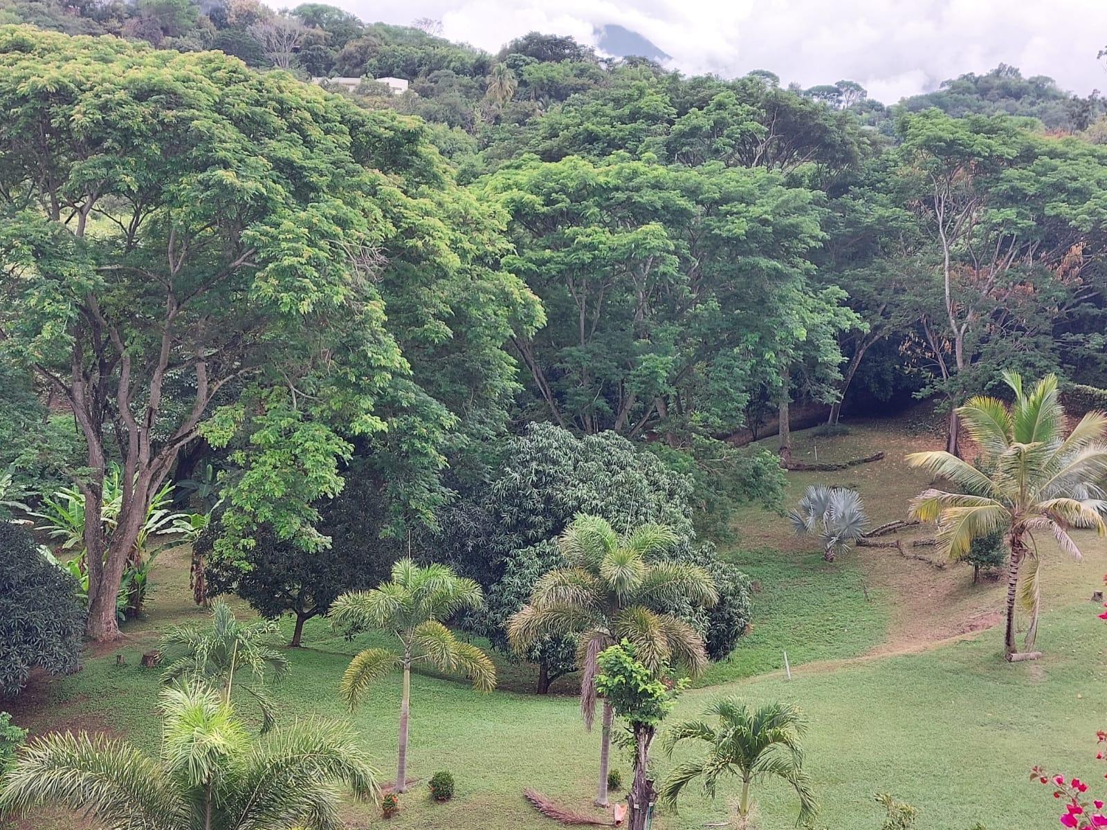 Vendo Hermoso Lote en Sopetran