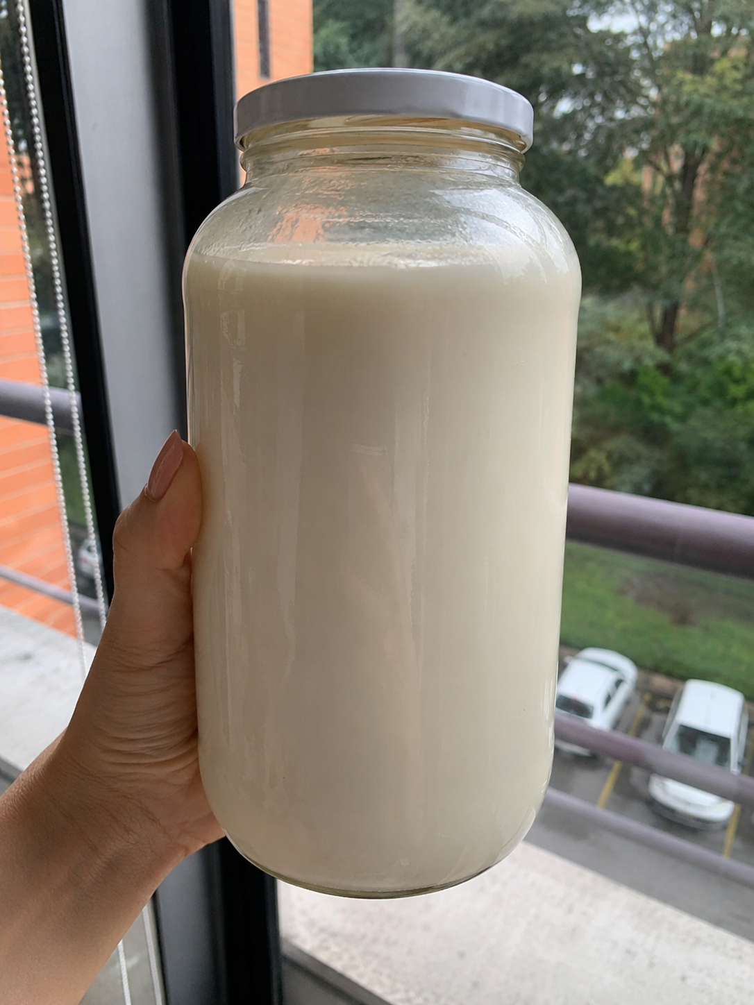KEFIR