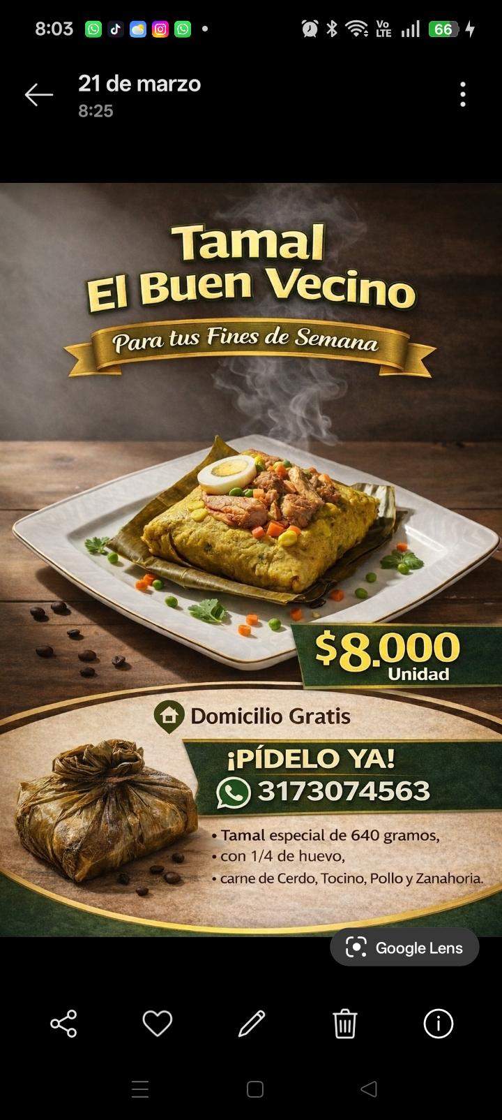 Tamal El Buen Vecino
