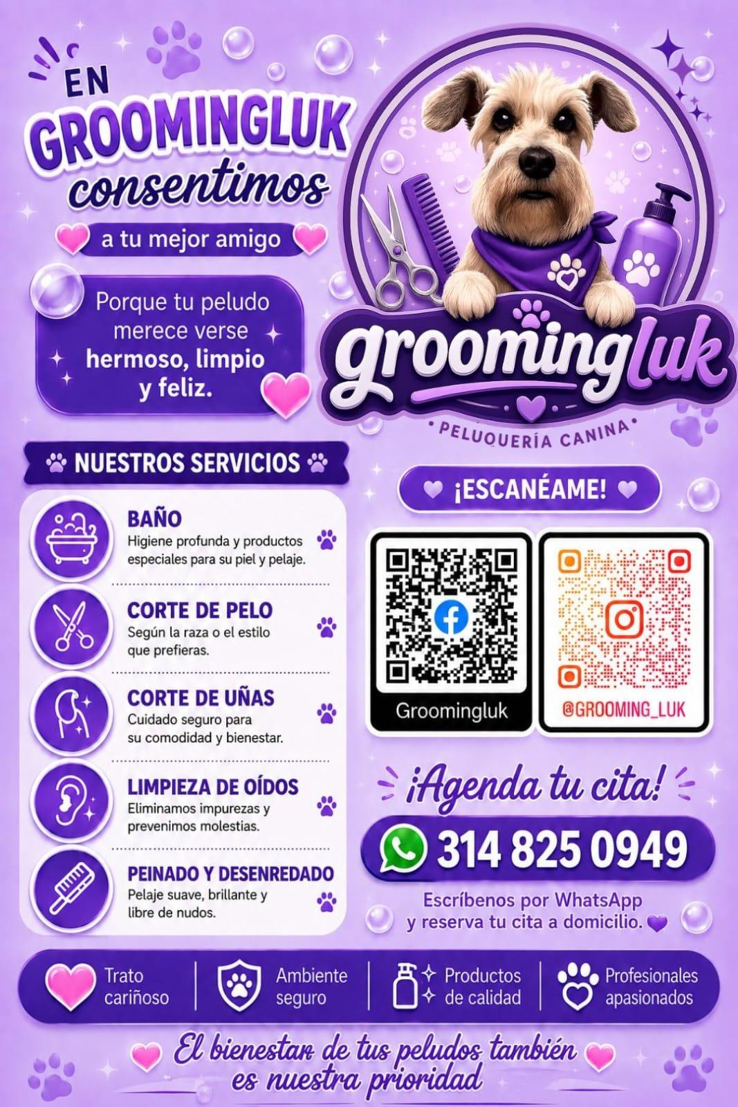 Peluqueria canina a domicilio