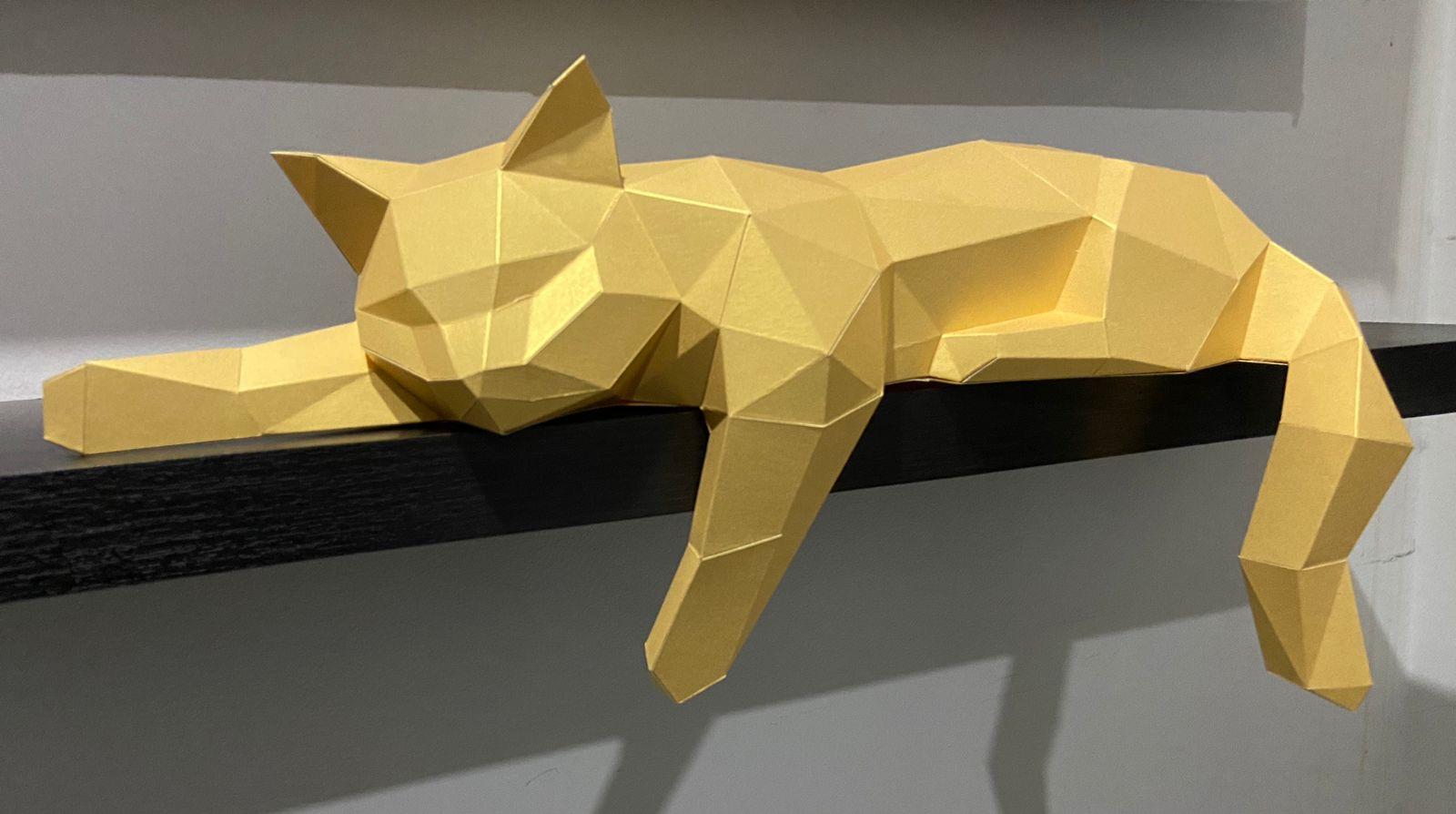 GATO 😻 - murialidad