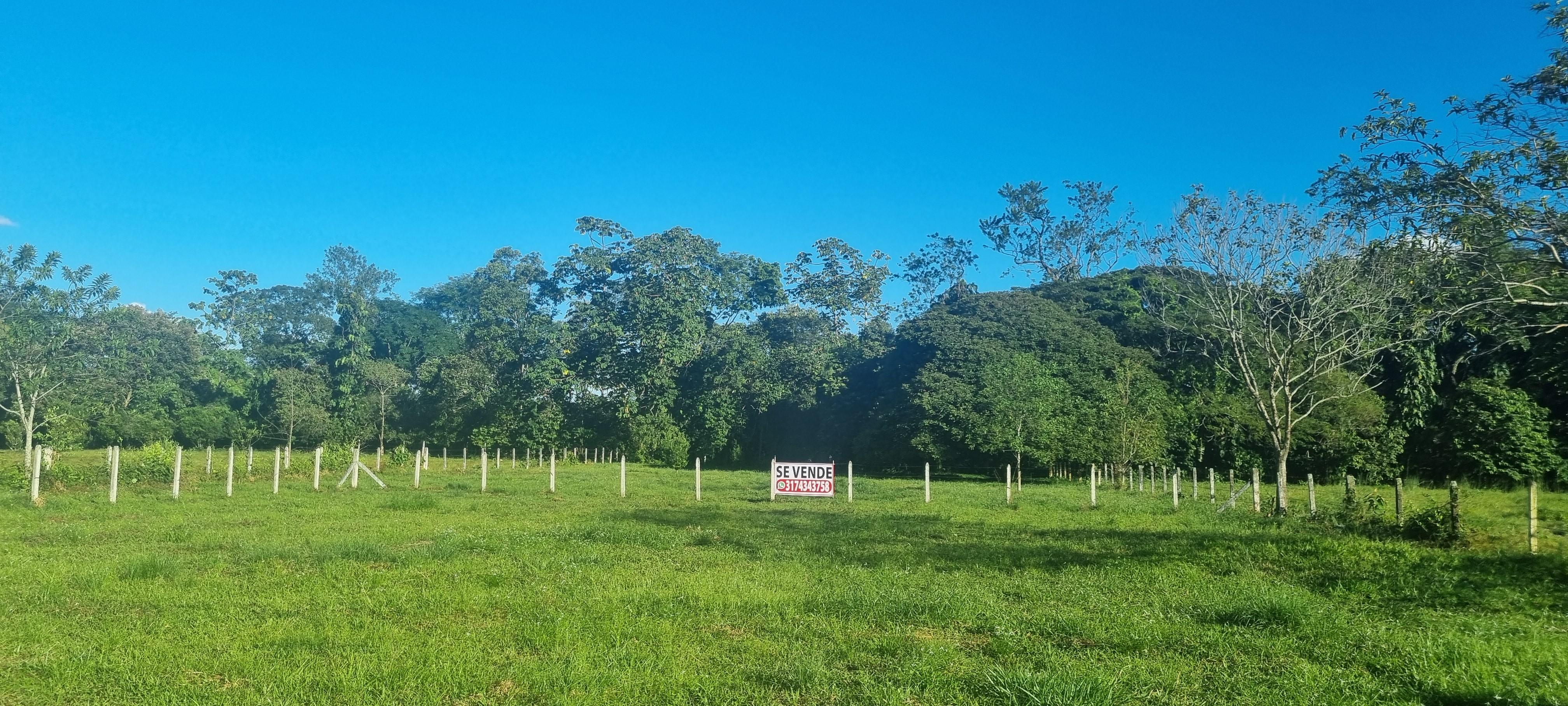 LOTE EN GUAMAL (META)