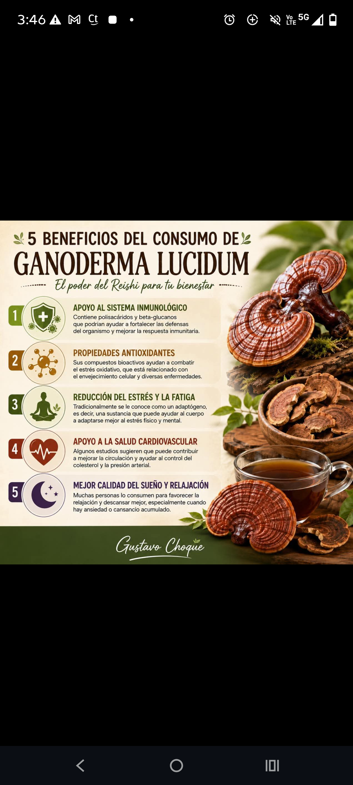 Ganoderma Lucidum