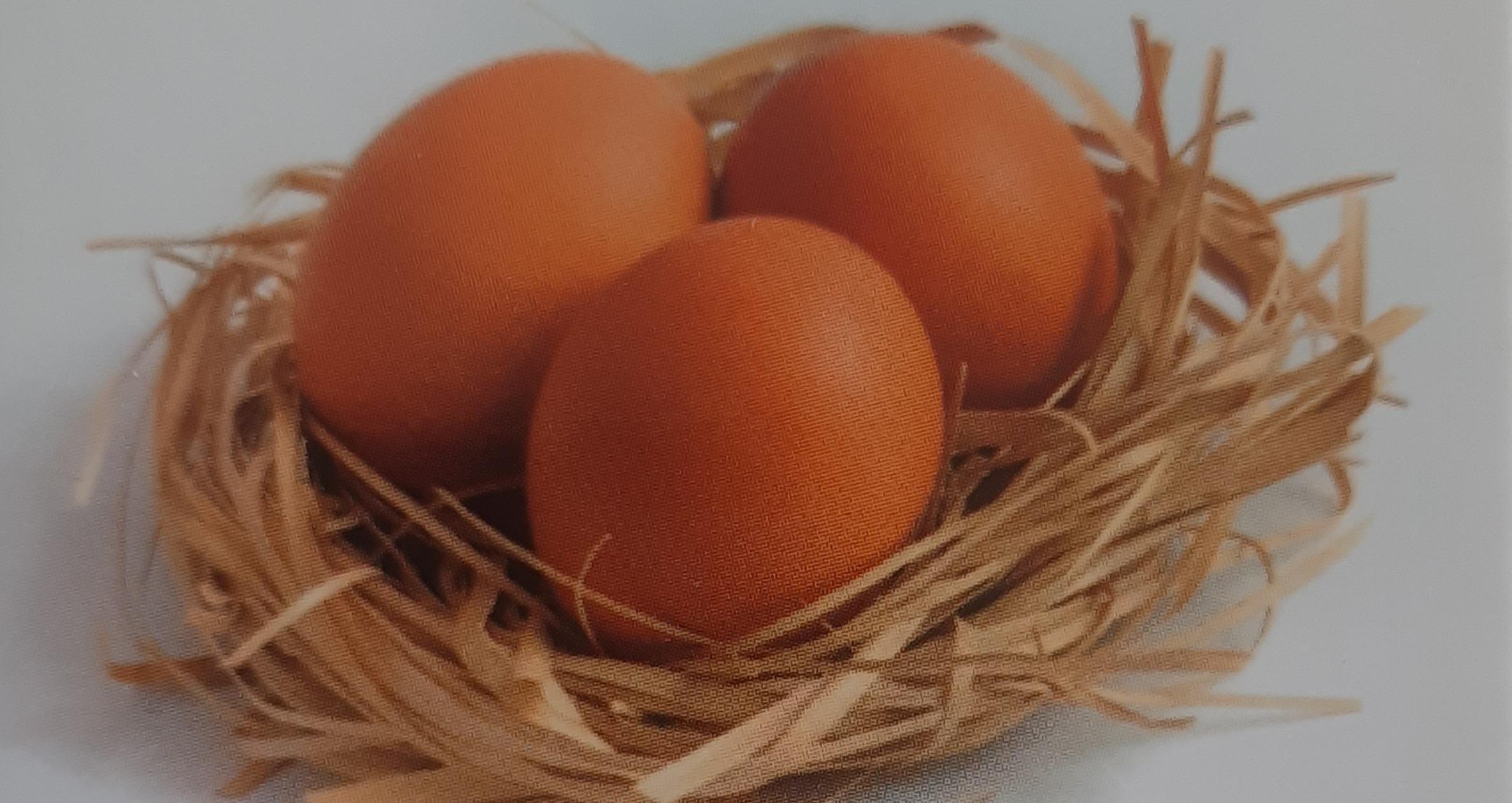 Huevos 🤗 / Conjunto Amonte